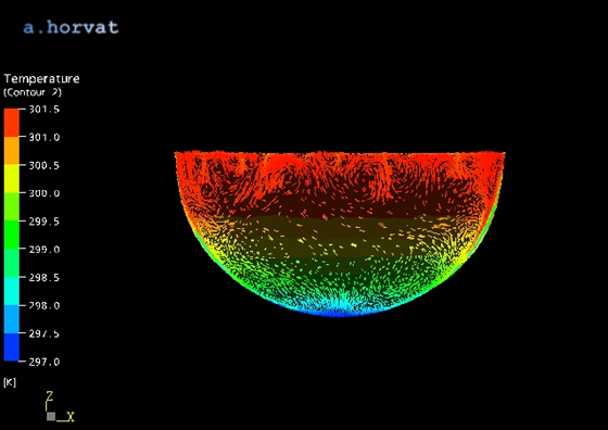 wall temperature in the lower plenum